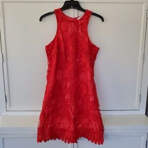 Gorgeous Lovers + Friends Dress